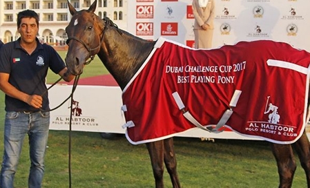 Dubai Cup Challenge